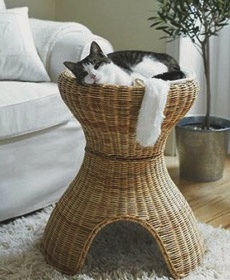 Как сделать домик для кошки своими руками измерения на каждой