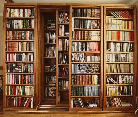 Книжный шкаф - какой сделать они не должны создавать ощущение