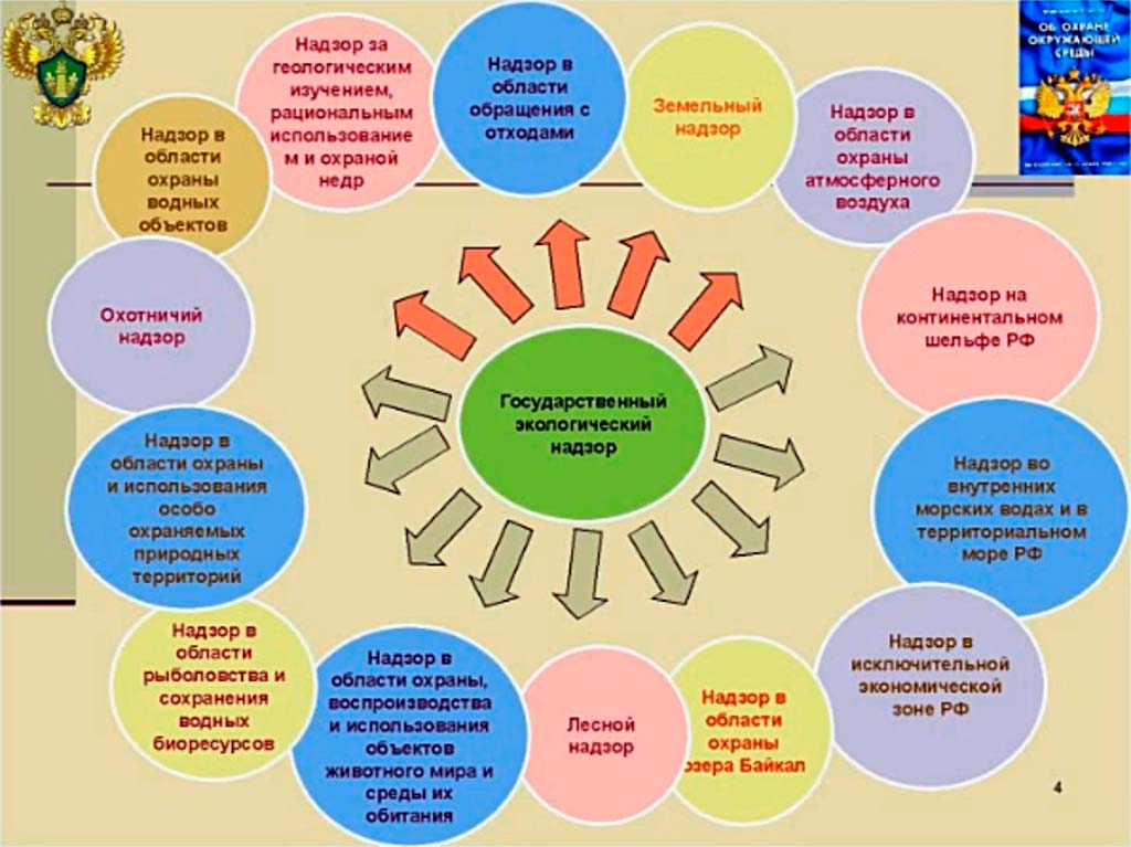 gosudarstvennyiy ekologicheskiy kontrol
